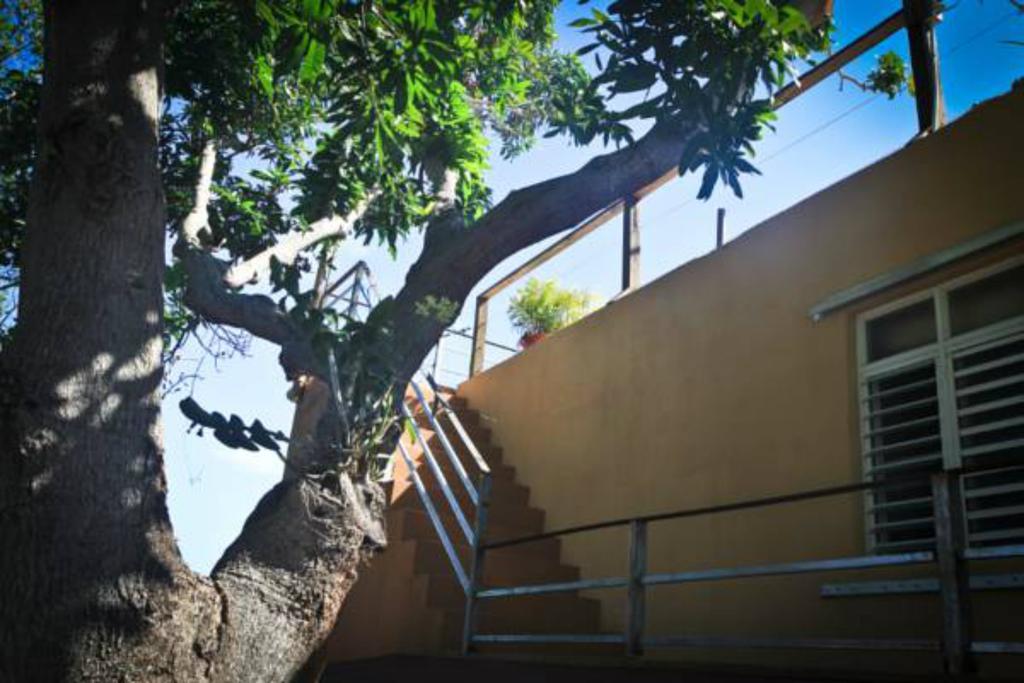 Villa Coral Guesthouse Vieques Exterior photo